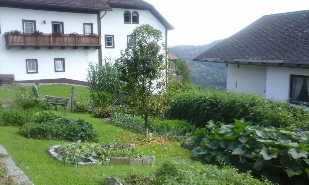 Eselgut Villa Hofkirchen im Mühlkreis Eksteriør billede